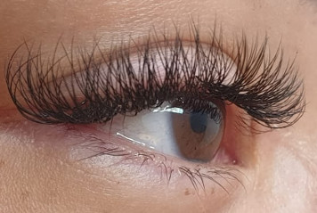 2D-4D Russian Volume